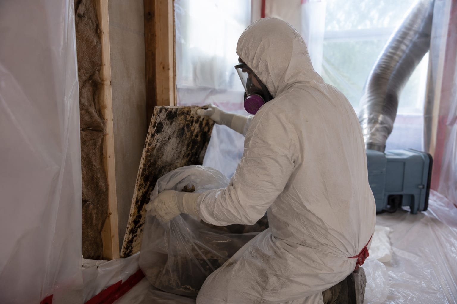 Safe black mold removal under sealed containment with negative air filtration